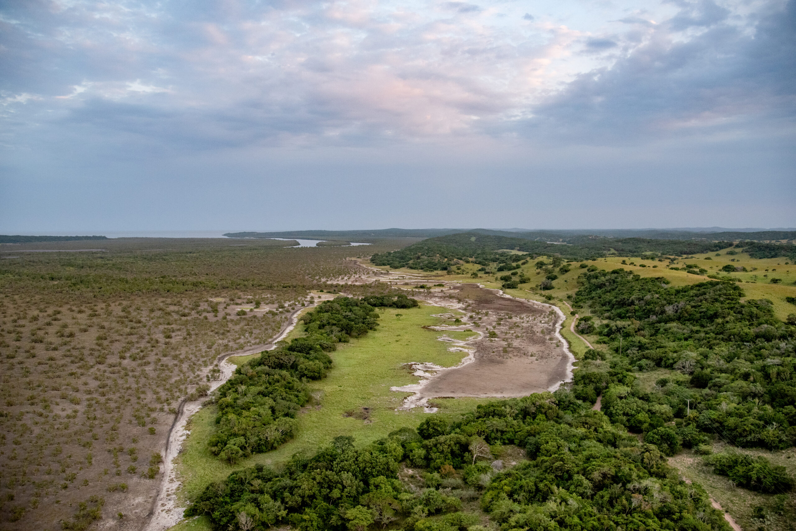 Landscape Rehabilitation