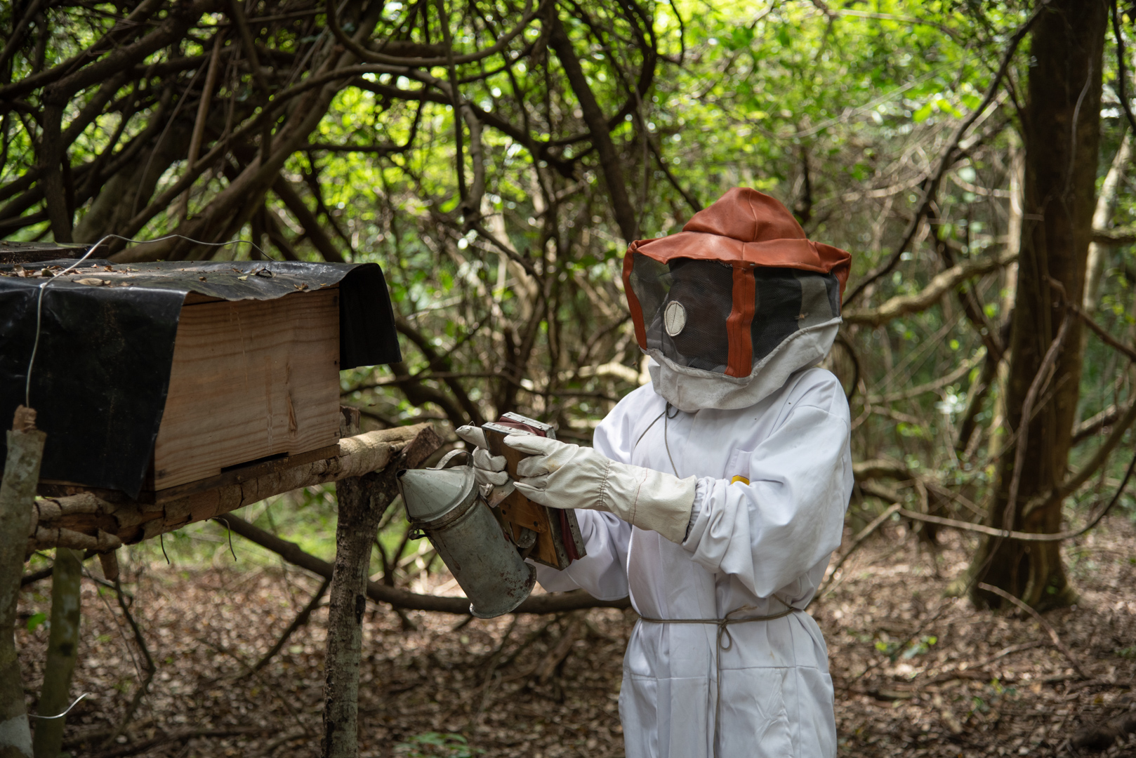 Bee Keeping