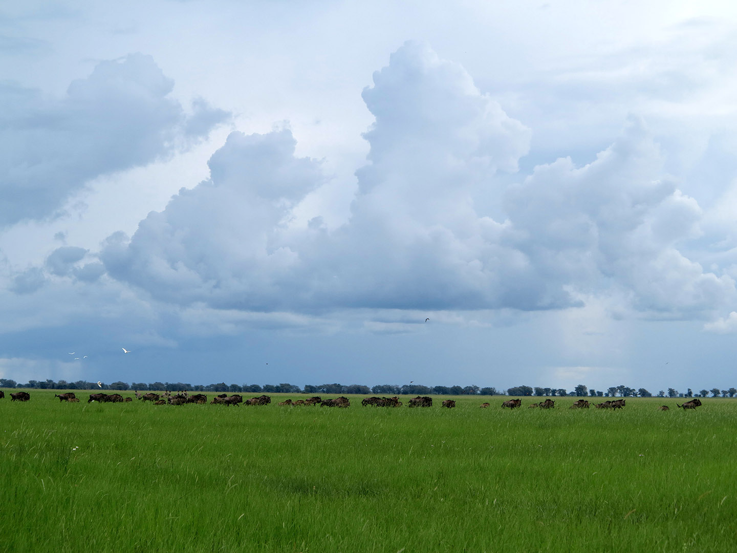 Simalaha Community Conservancy